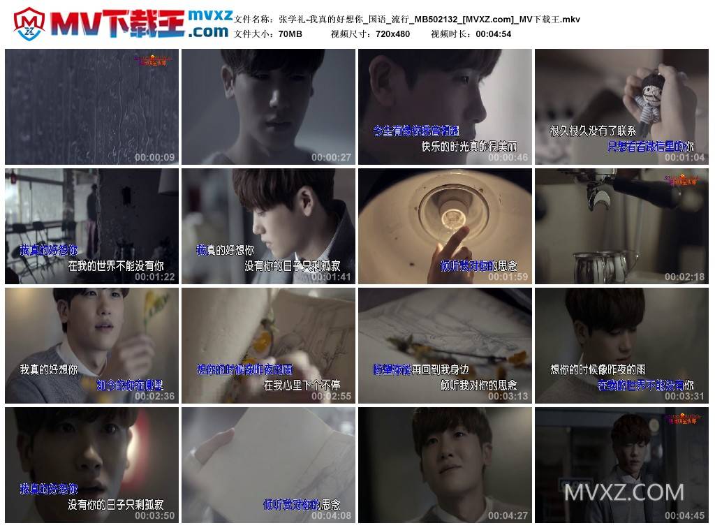 张学礼-我真的好想你_国语_流行_MB502132